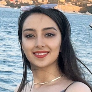 Elham Mahmoudi (M.Sc.)